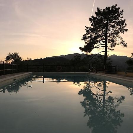 Agriturismo Il Pino San Martino in Freddana Extérieur photo