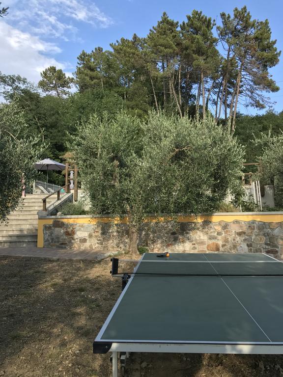Agriturismo Il Pino San Martino in Freddana Extérieur photo