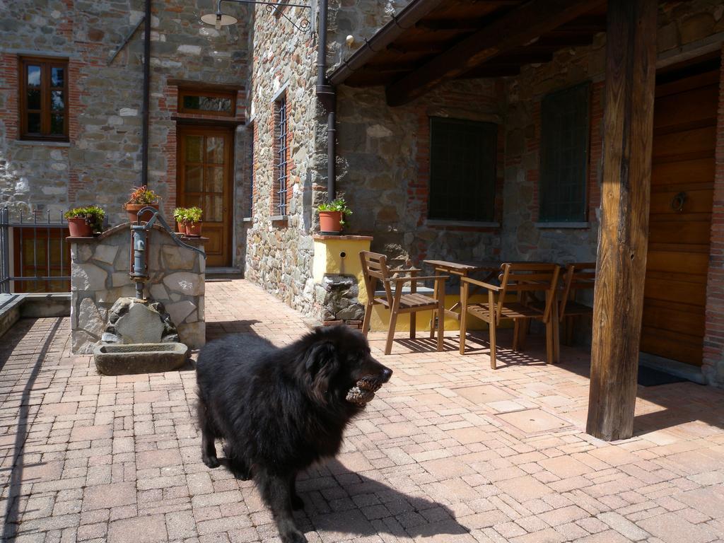 Agriturismo Il Pino San Martino in Freddana Extérieur photo
